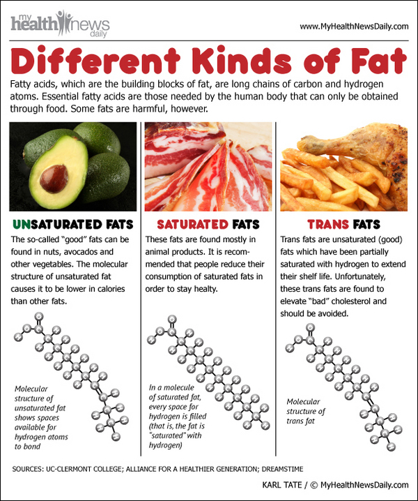 What Is Saturated Fat And Unsaturated Fat 29